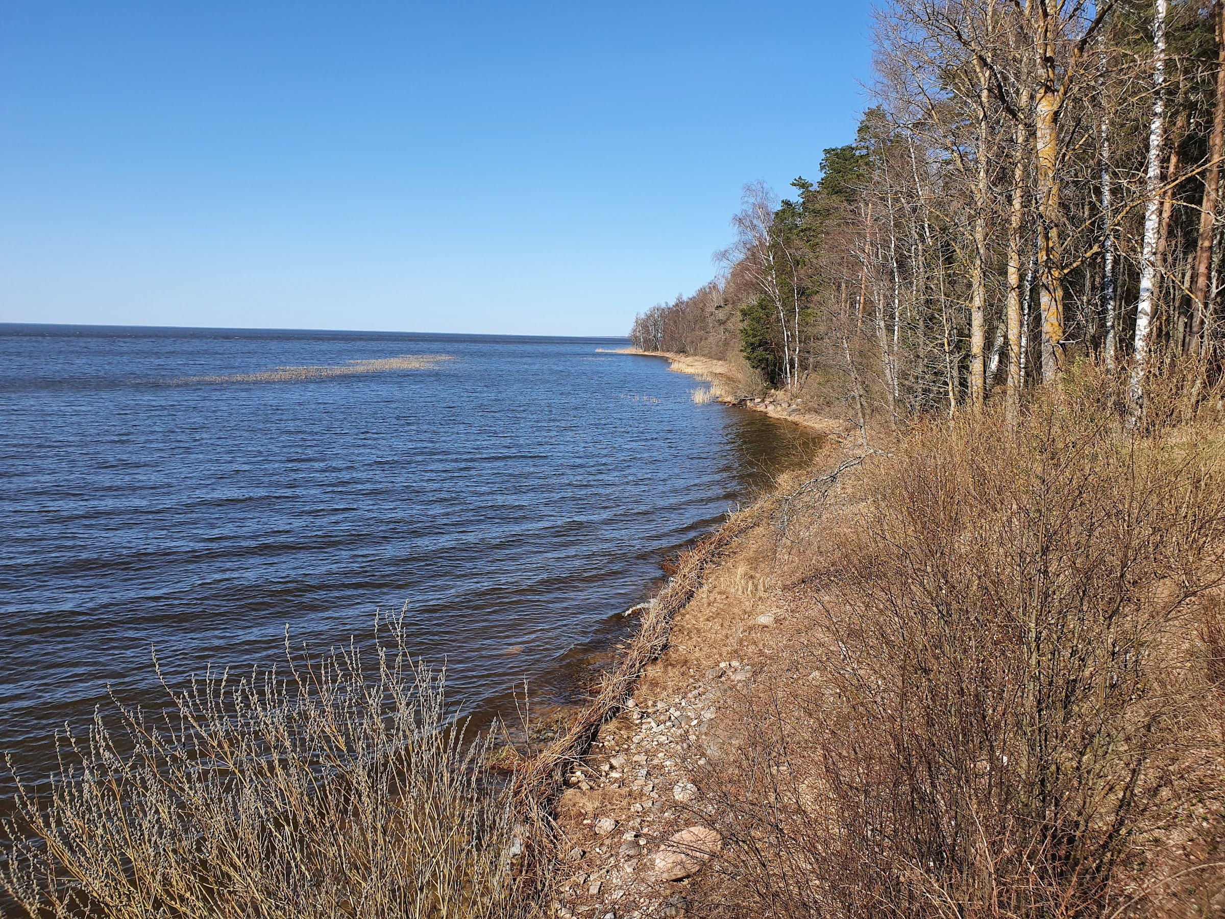 Järvemuuseum Akva:rium (Lake Museum / Aquarium)
